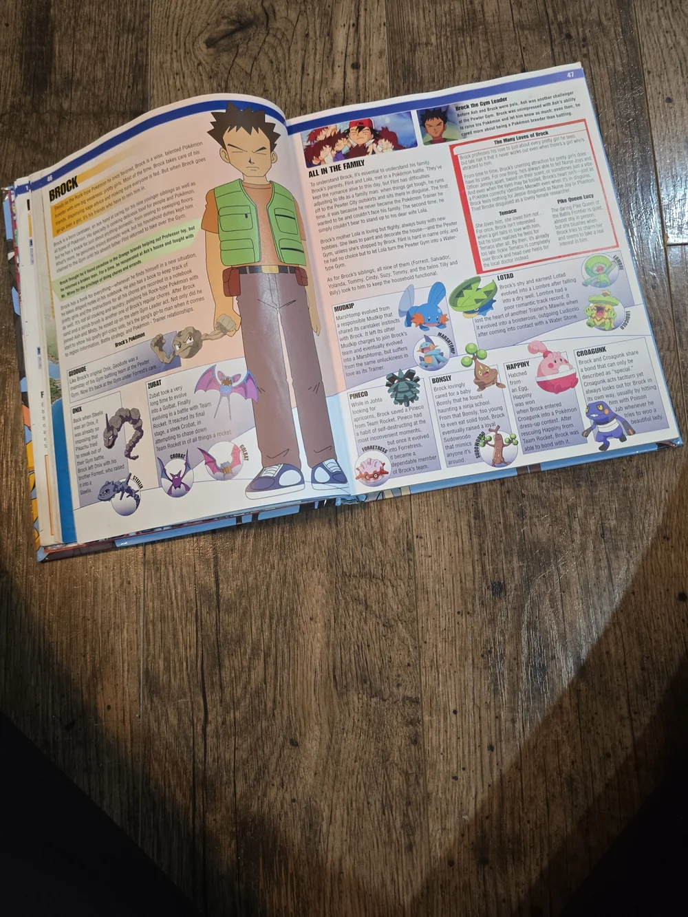 Visual Companion — Blue Cover Guidebook